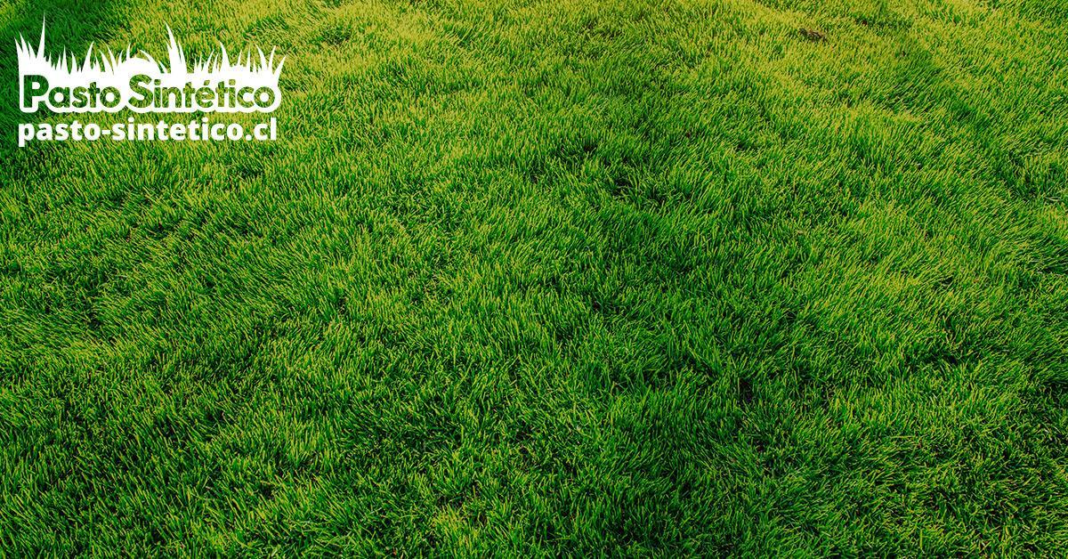 Textura de pasto sintético clara, logo esquina inferior izquierda
